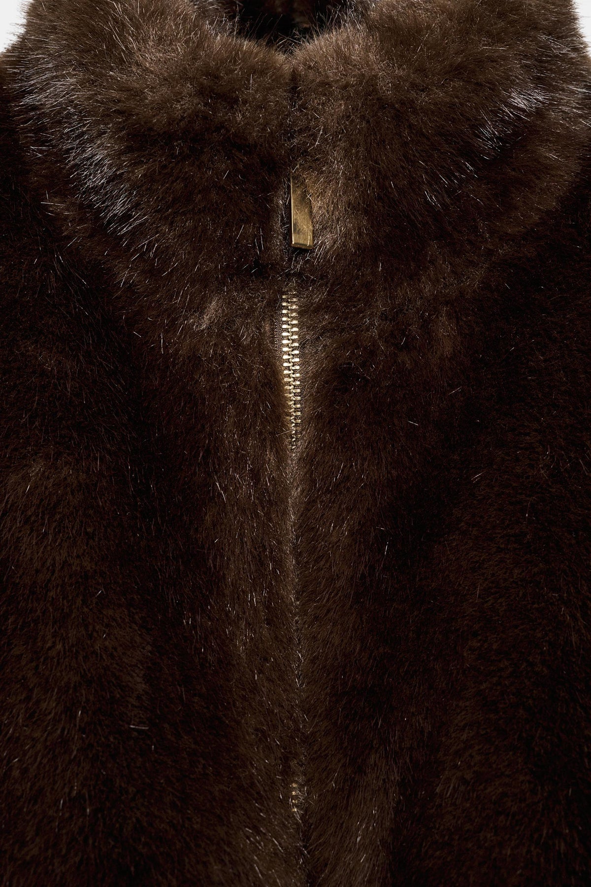 #281c15, Marron